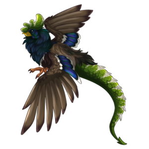 pet #3524